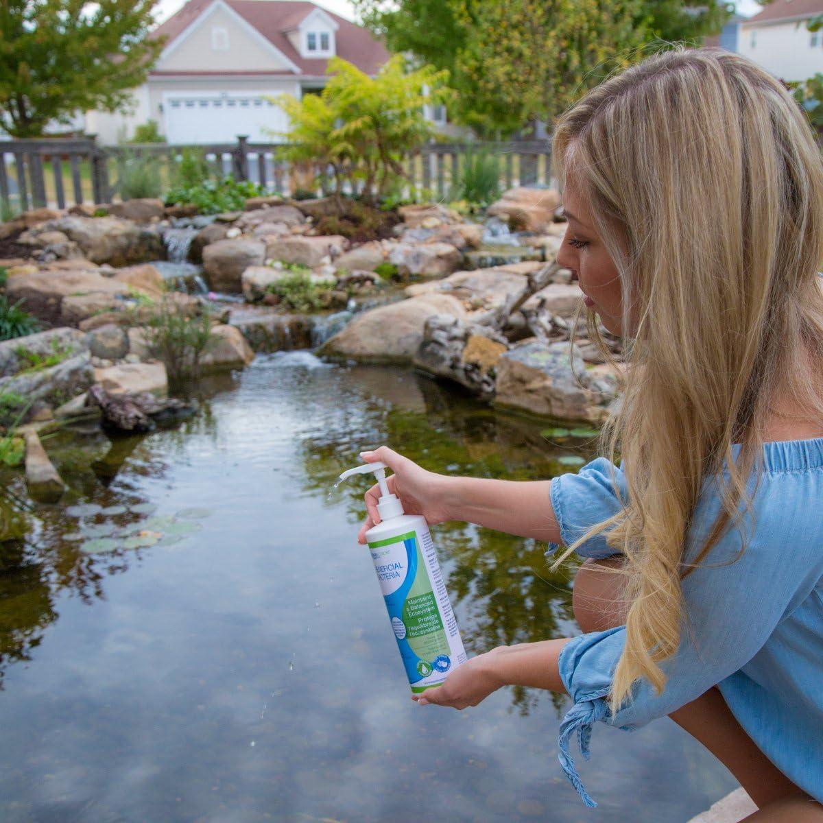 image:imageAquascape Clear Water Treatment for Koi and Fish Ponds Blend of Clarifiers to Clear Cloudy or Discolored Water and Reduce Debris  4 16Ounces16ounces