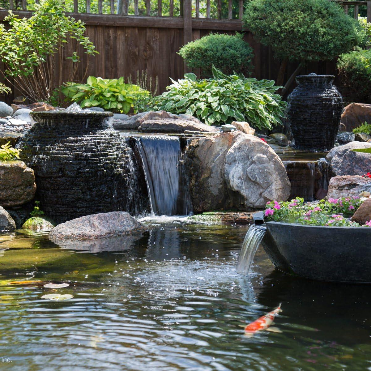image:imageAquascape Clear Water Treatment for Koi and Fish Ponds Blend of Clarifiers to Clear Cloudy or Discolored Water and Reduce Debris  4 16Ounces16ounces