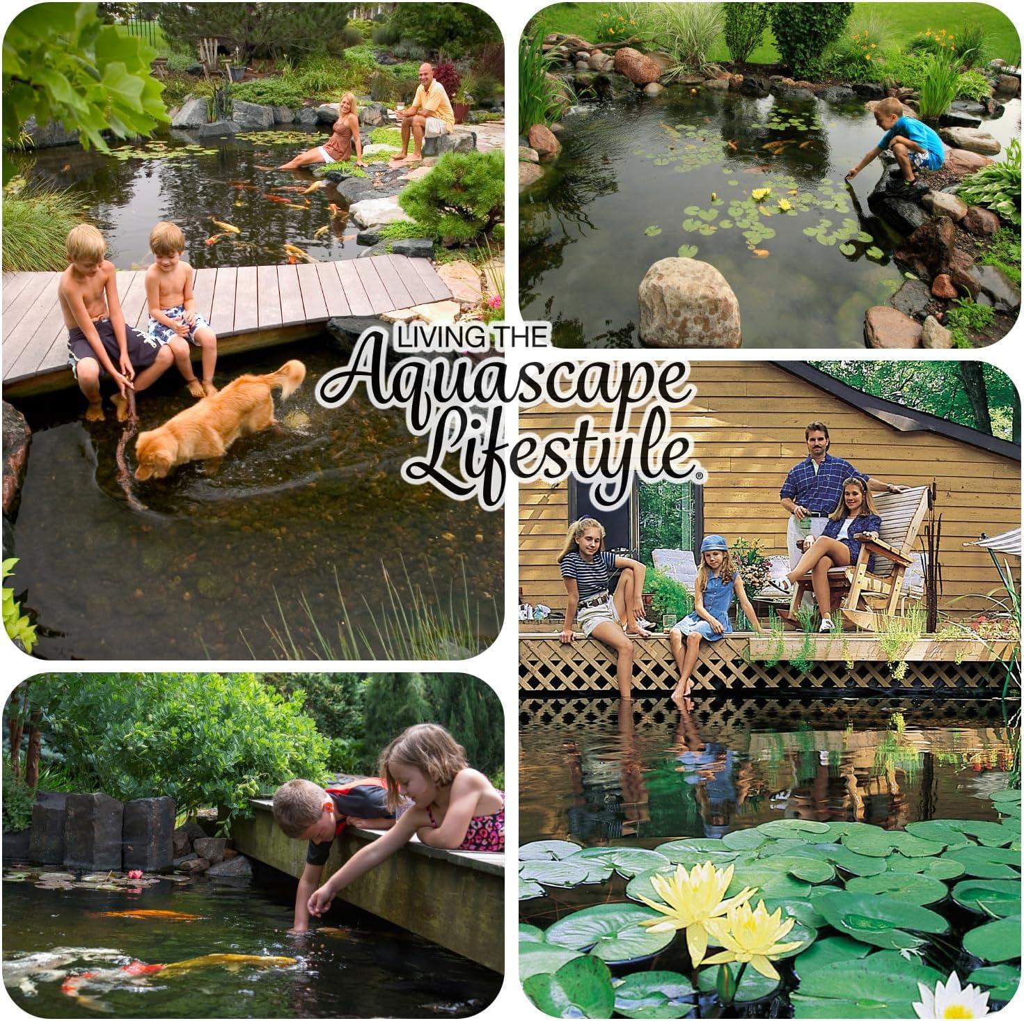 image:imageAquascape Clear Water Treatment for Koi and Fish Ponds Blend of Clarifiers to Clear Cloudy or Discolored Water and Reduce Debris  4 16Ounces1gallon