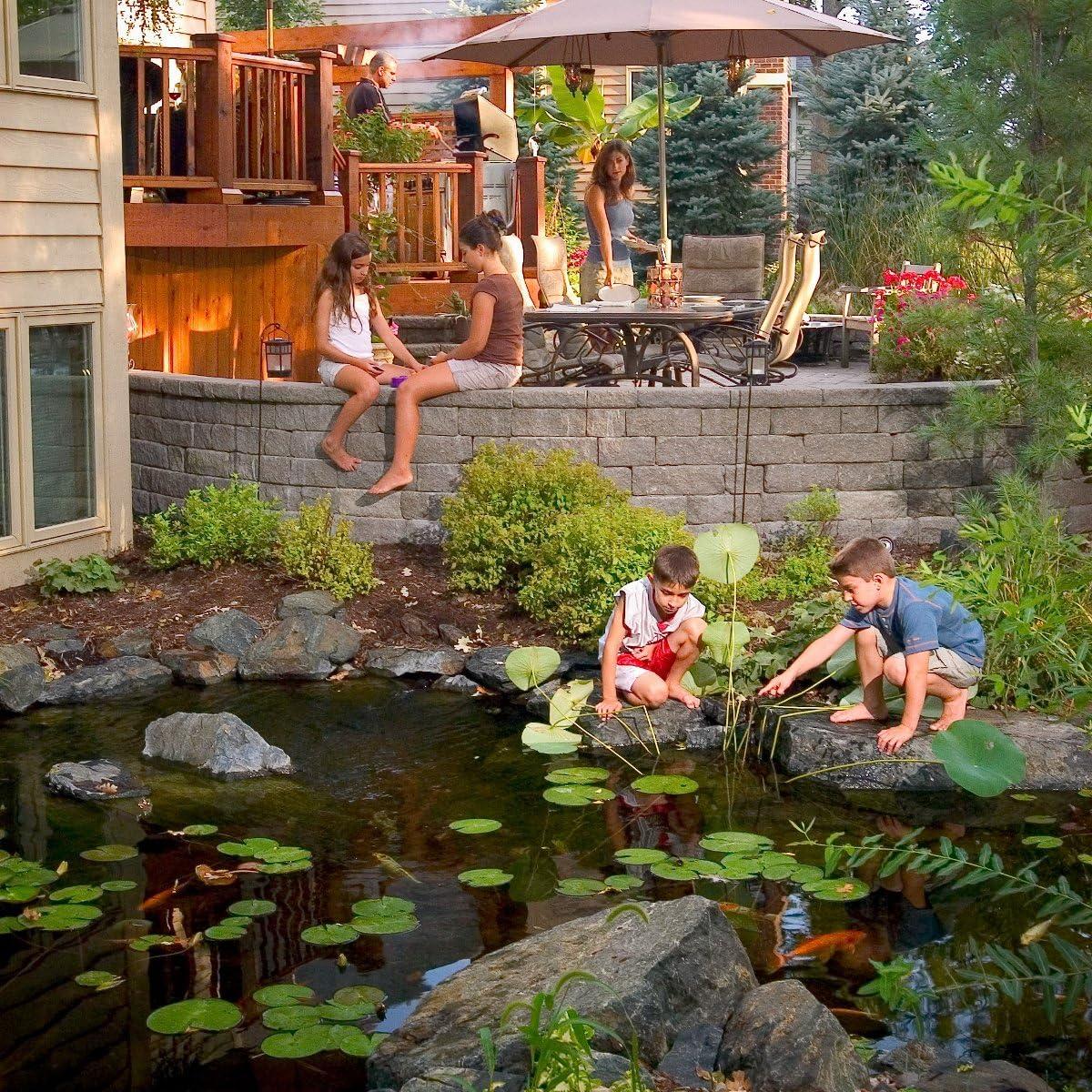 image:imageAquascape Clear Water Treatment for Koi and Fish Ponds Blend of Clarifiers to Clear Cloudy or Discolored Water and Reduce Debris  4 16Ounces32ounces