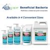 image:imageAquascape  Beneficial Bacteria for Ponds  845 oz Liquid946ml  32oz