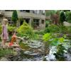image:imageAquascape  Beneficial Bacteria for Ponds  845 oz Liquid946ml  32oz