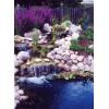 image:imageAquascape  Installing Your MicroPond Kit  Instructional DVD