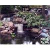 image:imageAquascape  Installing Your MicroPond Kit  Instructional DVD