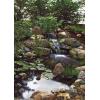image:imageAquascape  Installing Your MicroPond Kit  Instructional DVD