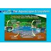 image:imageAquascape  Installing Your MicroPond Kit  Instructional DVD