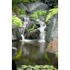 image:imageAquascape 30408 AquascapePRO Sludge Cleaner Liquid Treatment for Pond Water Feature Waterfall Stream 1 Gallon