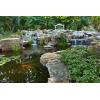 image:imageAquascape 98891 Sludge and Filter Cleaner Treatment Liquid 1 Ltr338 oz for Pond Water Feature Waterfall and Garden378L  1gal