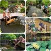 image:imageAquascape Clear Water Treatment for Koi and Fish Ponds Blend of Clarifiers to Clear Cloudy or Discolored Water and Reduce Debris  4 16Ounces1gallon
