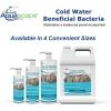image:imageAquascape Cold Water Beneficial Bacteria for Pond and Water Features 16 oz  473ml 9889316 fl oz