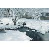 image:imageAquascape Cold Water Beneficial Bacteria for Pond and Water Features 16 oz  473ml 9889332 fl oz