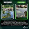 image:imageAquascape Dry Beneficial Bacteria for Pond and Water Features 44Ounce  98925White11 lb