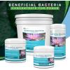 image:imageAquascape Dry Beneficial Bacteria for Pond and Water Features 44Ounce  98925White11 lb