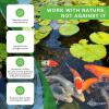 image:imageAquascape Dry Beneficial Bacteria for Pond and Water Features 44Ounce  98925White11 lb