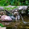 image:imageAquascape Fairy Planter Spitter Fountain for Pond and Garden 78370
