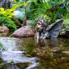 image:imageAquascape Fairy Planter Spitter Fountain for Pond and Garden 78370