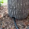 image:imageAquascape Faux Wood Stump Propane Tank Cover 78345