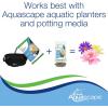 image:imageAquascape OnceAYear Pond Plant Fertilizer Capsules 6Pack Easy Annual Feeding for Aquatic Plants Safe for Fish 89010Capsules