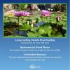 image:imageAquascape OnceAYear Pond Plant Fertilizer Capsules 6Pack Easy Annual Feeding for Aquatic Plants Safe for Fish 89010Granular