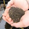image:imageAquascape Pond Plant Potting Media NutrientRich Aquatic Soil for Water Gardens Supports Strong Root Growth 215 Cubic Inches 89002215 cubic inches