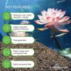 image:imageAquascape Pond Plant Potting Media NutrientRich Aquatic Soil for Water Gardens Supports Strong Root Growth 215 Cubic Inches 89002215 cubic inches