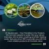 image:imageAquascape Pond Plant Potting Media NutrientRich Aquatic Soil for Water Gardens Supports Strong Root Growth 215 Cubic Inches 89002432 cubic inches