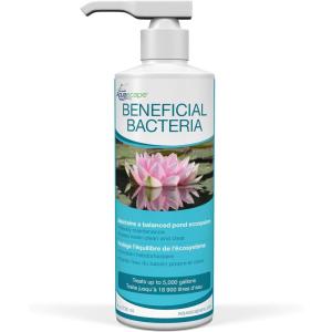 image:imageAquascape  Beneficial Bacteria for Ponds  845 oz Liquid236ml  8oz