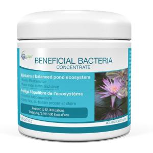 image:imageAquascape Dry Beneficial Bacteria for Pond and Water Features 44Ounce  98925White055 lb