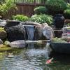 image:imageAquascape 40003 Pond Salt Treatment for Pond and Garden Water Features 40Pound Bulk9 lb
