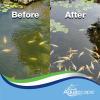 image:imageAquascape Algaecide for Pond Waterfall and Water Features 25Gallon 9605332 oz  946 ml