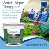 image:imageAquascape EcoBlast Contact Granular Algaecide for Ponds Waterfalls Fountains Streams and Rocks 7 lb  32 kg 293137 Pounds