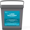 image:imageAquascape Bacteria Water Treatments for Lake and Large Pond 48 Packs  40014