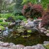 image:imageAquascape Pond Water Treatments for Automatic Dosing System Protect