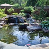 image:imageAquascape 29196 Liner Roll 20 x 50 45 mil EPDM for Pond Water Feature Waterfall Landscape and Garden