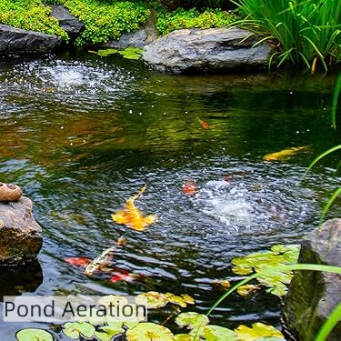 Aquascape Official Store | Beautiful Ponds, Waterfalls & Garden Features