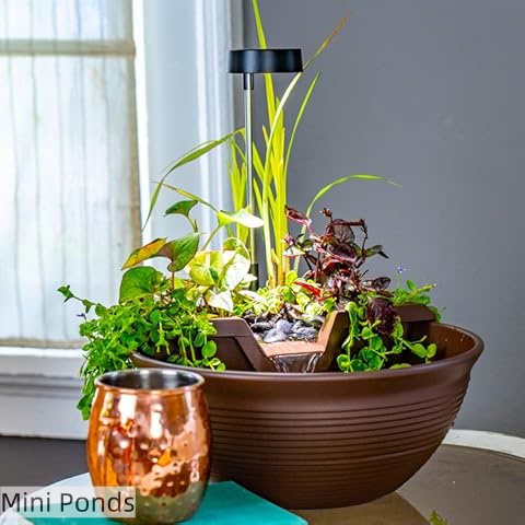 Aquascape Official Store | Beautiful Ponds, Waterfalls & Garden Features