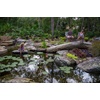 image:imageAquascape 29023 PVC Pipe 2 X 25 Flexible for Pond Water Feature Waterfall Landscape and Garden