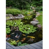 image:imageAquascape 29025 Flexible PVC Pipe for Pond Waterfall Landscape and Garden Features 3Inch x 50 Feet2inch x 50feet