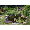 image:imageAquascape 45 Mil EPDM Pond Liner 8 ft x 10 ft HeavyDuty FishSafe Liner for Ponds Waterfalls Fountains and Water Gardens Flexible and Durable with 20Year Guarantee