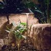 image:imageAquascape Path and Area LED Landscape Light Dome Top Design Durable Brass Antique Bronze Finish 3Watt Low Voltage LVL  84064  BrownDome Top