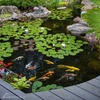 image:imageAquascape 75001 Pond Air 4 Quadruple Outlet Aeration Kit2Outlet
