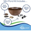 image:imageAquascape AquaGarden Pond Kit Container Water Garden  78325Steel Gray