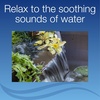 image:imageAquascape AquaGarden Pond Kit Container Water Garden  78325Steel Gray