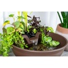 image:imageAquascape AquaGarden Tabletop Fountain Kit GrayMocha