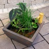 image:imageAquascape Aquatic Patio Pond Kit Container Water Garden Includes Bamboo Fountain and Pump