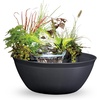 image:imageAquascape AquaGarden Pond Kit Container Water Garden  78325Steel Gray