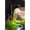 image:imageAquascape AquaGarden Mini Pond Kit Plant Light  78332