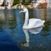 image:imageAquascape Floating Swan Decoy for Koi and Fish Ponds  74014