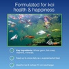 image:imageAquascape Koi Krunchies Fish Food Large 11 lbs  400 g for Hand Feeding in Pond Water Feature 81000