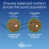 image:imageAquascape Premium Color Enhancing Fish Food Pellets for Pond Koi Goldfish and More 22 lbs  1 kg11 Pounds